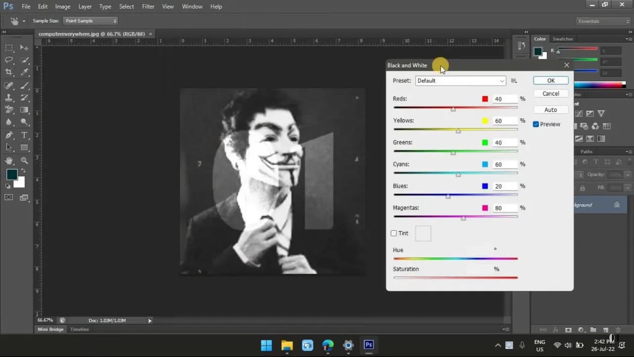 How to Make an Image Black and White in Photoshop